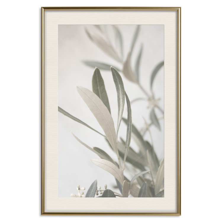 Wall Poster Olive Tree Twig - Frame for a Fragment of Mediterranean Vegetation 145233 additionalImage 27
