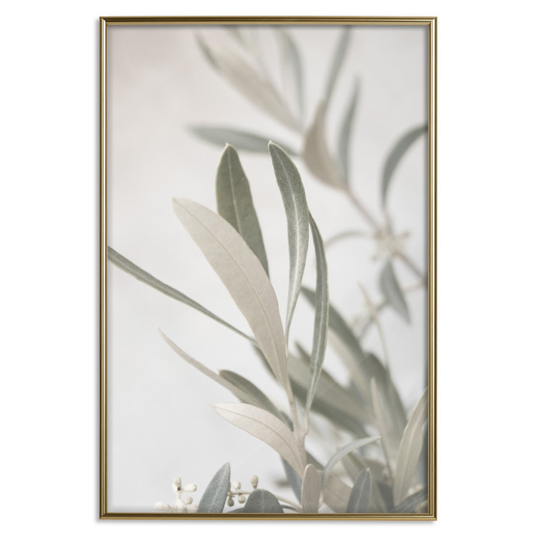 Wall Poster Olive Tree Twig - Frame for a Fragment of Mediterranean Vegetation 145233 additionalImage 23