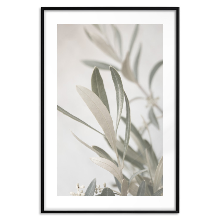 Wall Poster Olive Tree Twig - Frame for a Fragment of Mediterranean Vegetation 145233 additionalImage 25