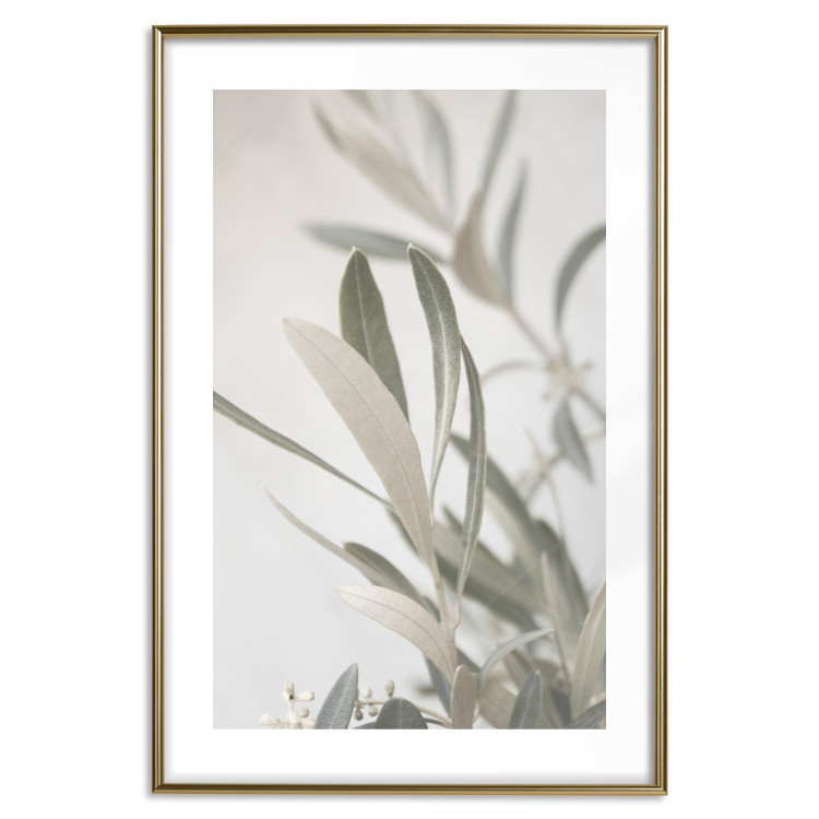 Wall Poster Olive Tree Twig - Frame for a Fragment of Mediterranean Vegetation 145233 additionalImage 24