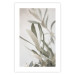 Wall Poster Olive Tree Twig - Frame for a Fragment of Mediterranean Vegetation 145233 additionalThumb 21