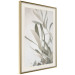 Wall Poster Olive Tree Twig - Frame for a Fragment of Mediterranean Vegetation 145233 additionalThumb 11