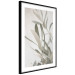 Wall Poster Olive Tree Twig - Frame for a Fragment of Mediterranean Vegetation 145233 additionalThumb 7