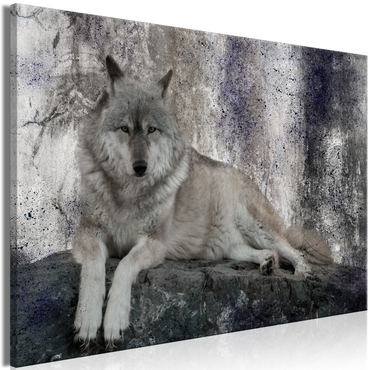 Canvas Resting Wolf (1-piece) - wild animal lying on a rock 145333 additionalImage 2