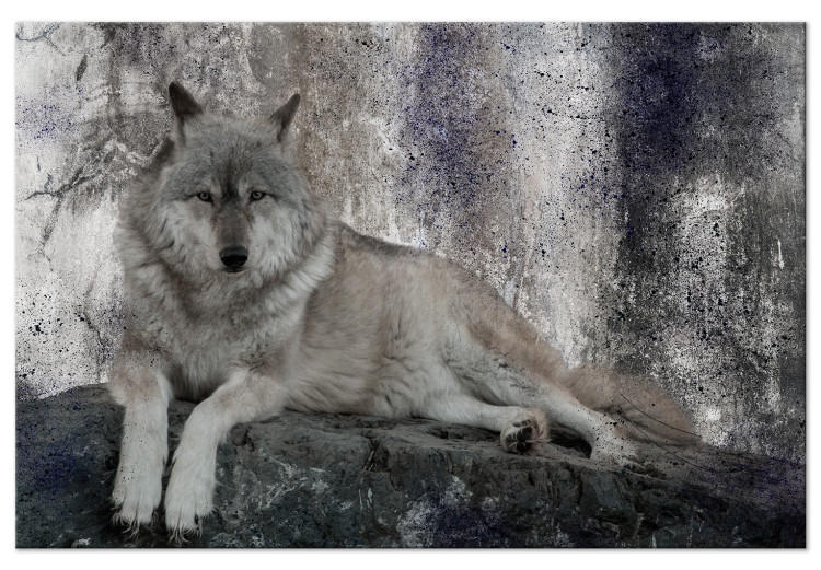 Canvas Resting Wolf (1-piece) - wild animal lying on a rock 145333