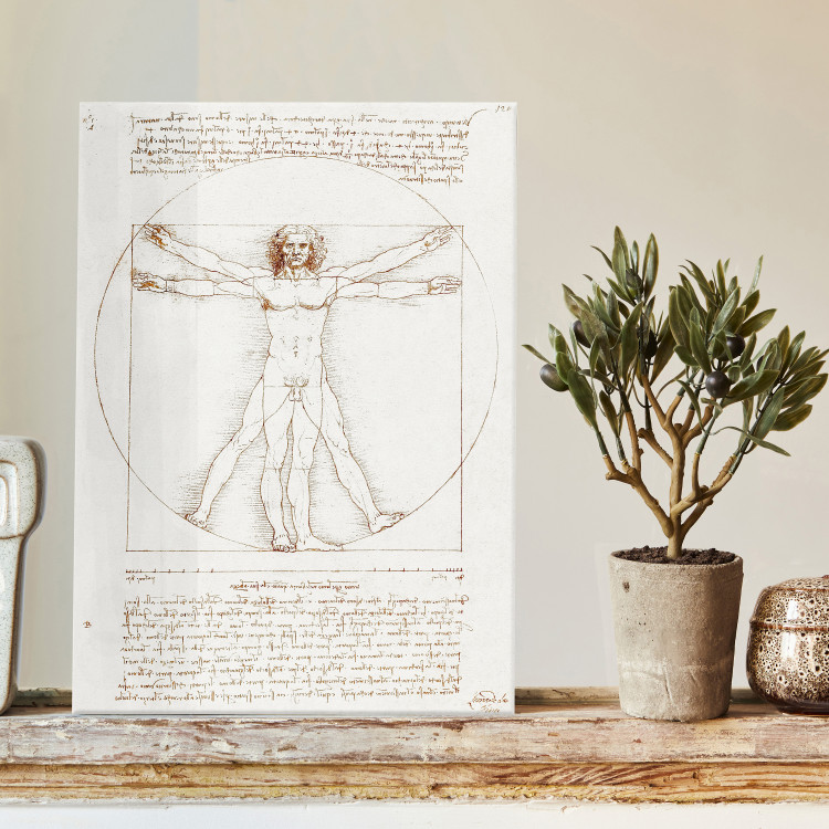Reproduction Painting Vitruvian Man (Proportions of the human body according to Vitruvius) 150433 additionalImage 5