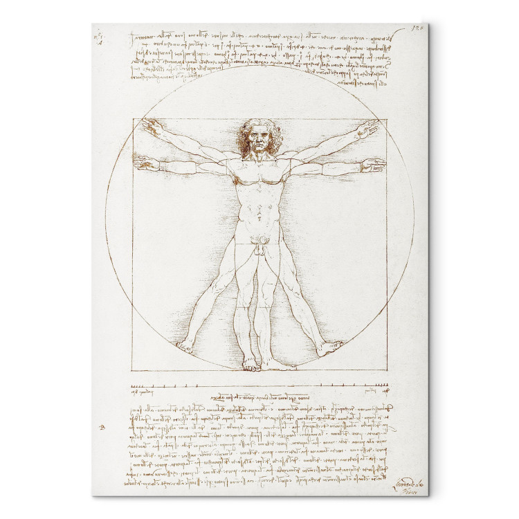 Reproduction Painting Vitruvian Man (Proportions of the human body according to Vitruvius) 150433