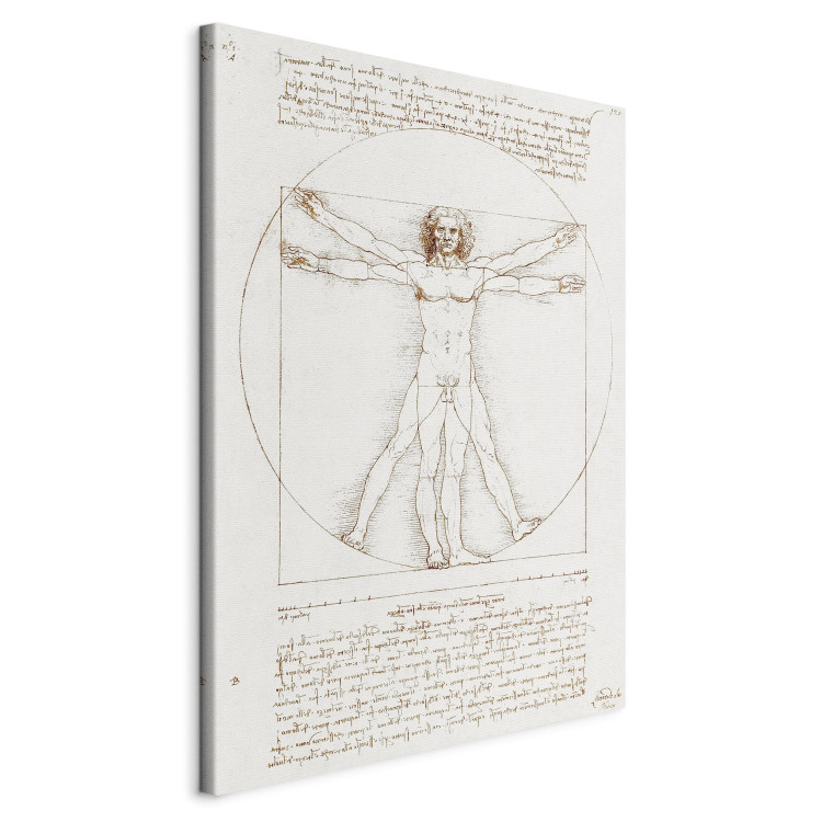 Reproduction Painting Vitruvian Man (Proportions of the human body according to Vitruvius) 150433 additionalImage 2