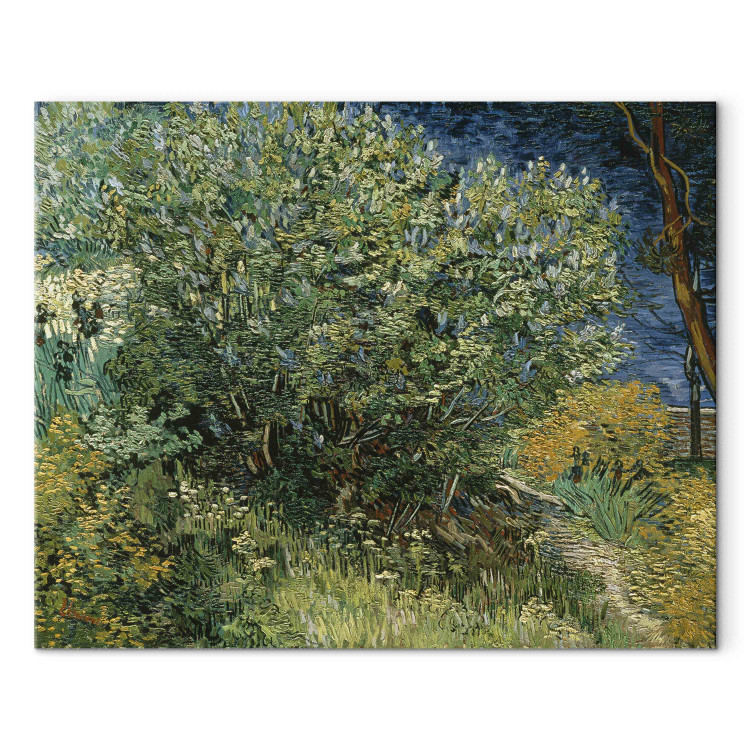 Reproduction Painting Lilacs  159333