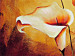 Canvas Callas 48833 additionalThumb 3