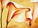 Canvas Callas 48833 additionalThumb 2