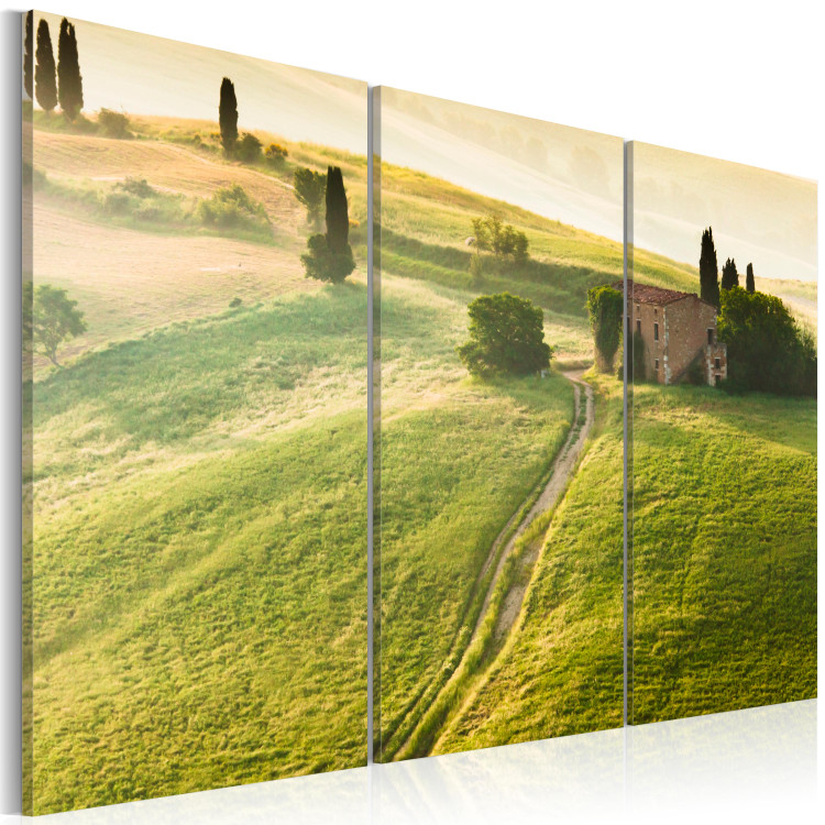 Canvas Art Print Under the Tuscan Sun 58633 additionalImage 2