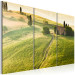 Canvas Art Print Under the Tuscan Sun 58633 additionalThumb 2