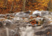 Canvas Art Print Autumn and waterfall 58733 additionalThumb 4