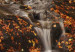 Canvas Art Print Autumn and waterfall 58733 additionalThumb 3