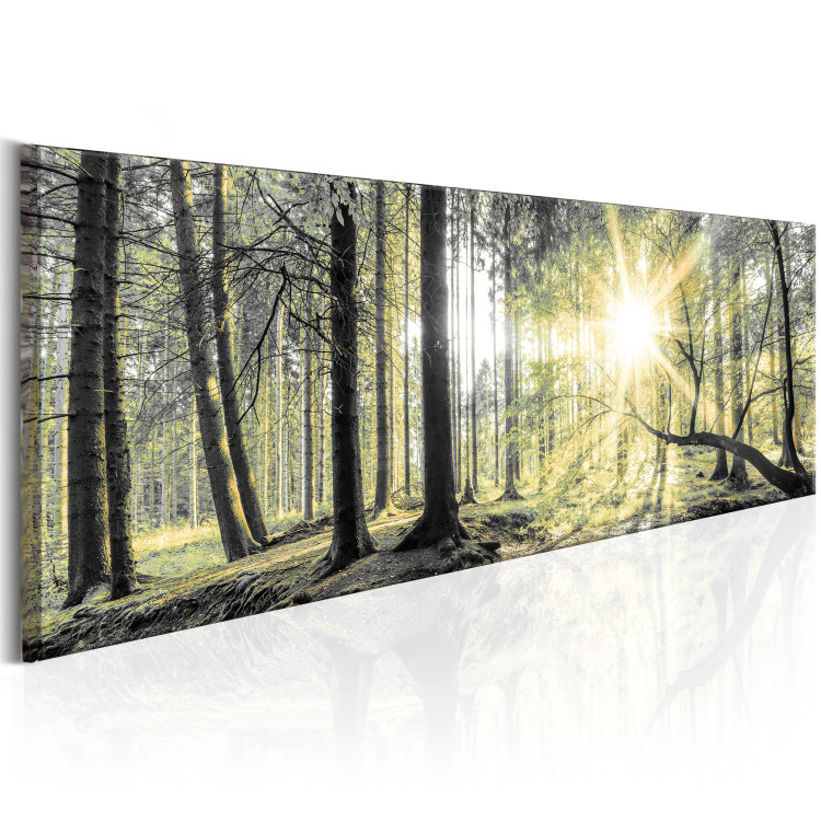 Canvas Morning Forest 89033 additionalImage 2