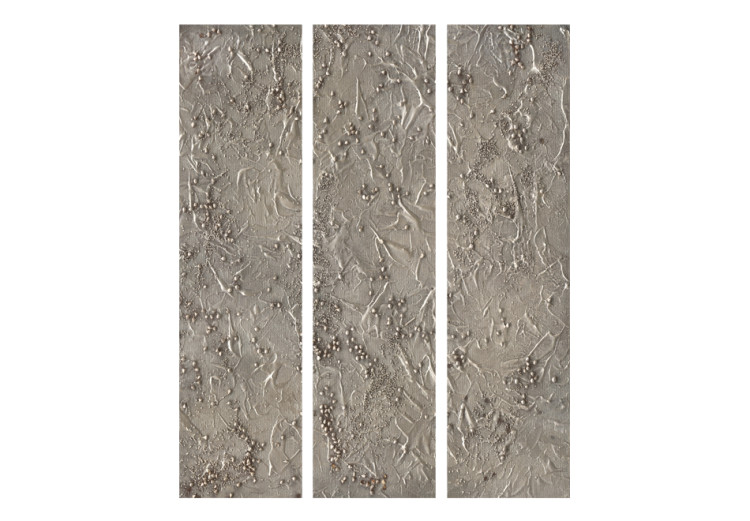 Folding Screen Silver Serenade - artistic texture of gray stone with patterns 95633 additionalImage 3