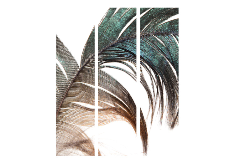 Room Separator Beautiful Feather - colorful feather on white background in romantic motif 97433 additionalImage 3