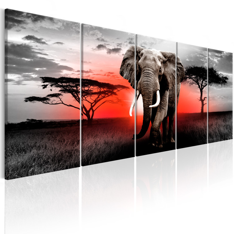 Canvas Art Print Sunset Over the Savanna (5-piece) - Elephant Against an African Sunset 98633 additionalImage 2