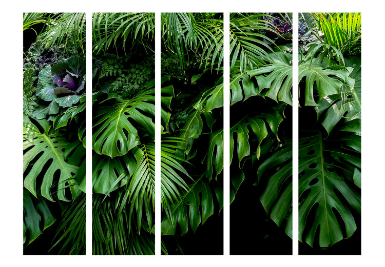 Room Divider Screen Rainforests II - landscape of tropical monstera leaves against a jungle backdrop 114043 additionalImage 3