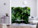 Room Divider Screen Rainforests II - landscape of tropical monstera leaves against a jungle backdrop 114043 additionalThumb 4