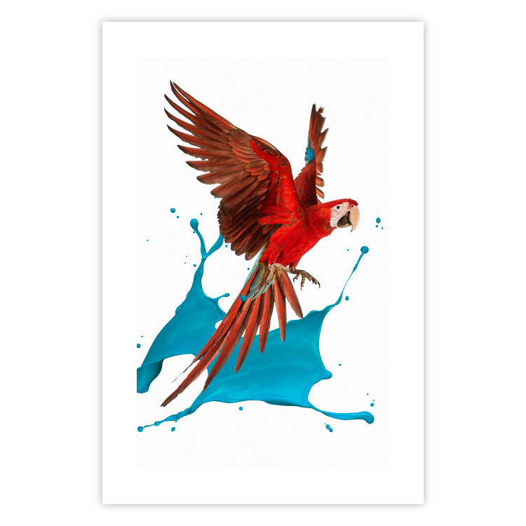 Wall Poster Parrot in Flight - colorful tropical bird and blue paint splatter 114443 additionalImage 16