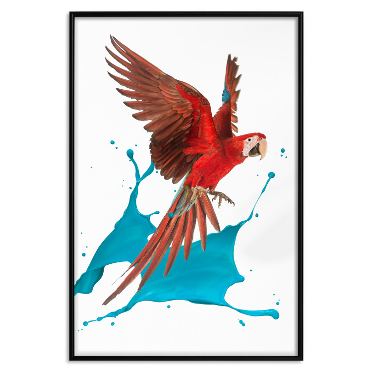 Wall Poster Parrot in Flight - colorful tropical bird and blue paint splatter 114443 additionalImage 17