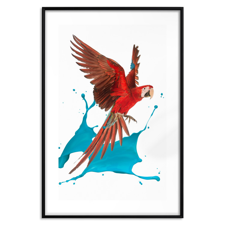 Wall Poster Parrot in Flight - colorful tropical bird and blue paint splatter 114443 additionalImage 18