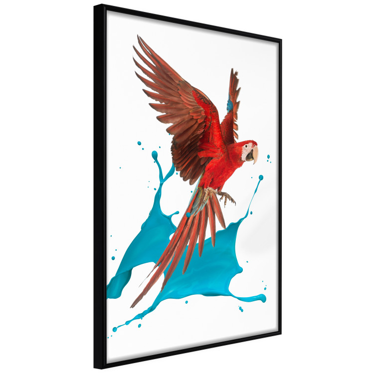 Wall Poster Parrot in Flight - colorful tropical bird and blue paint splatter 114443 additionalImage 10