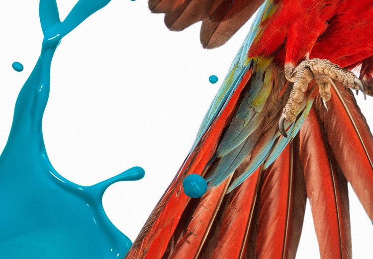 Wall Poster Parrot in Flight - colorful tropical bird and blue paint splatter 114443 additionalImage 8