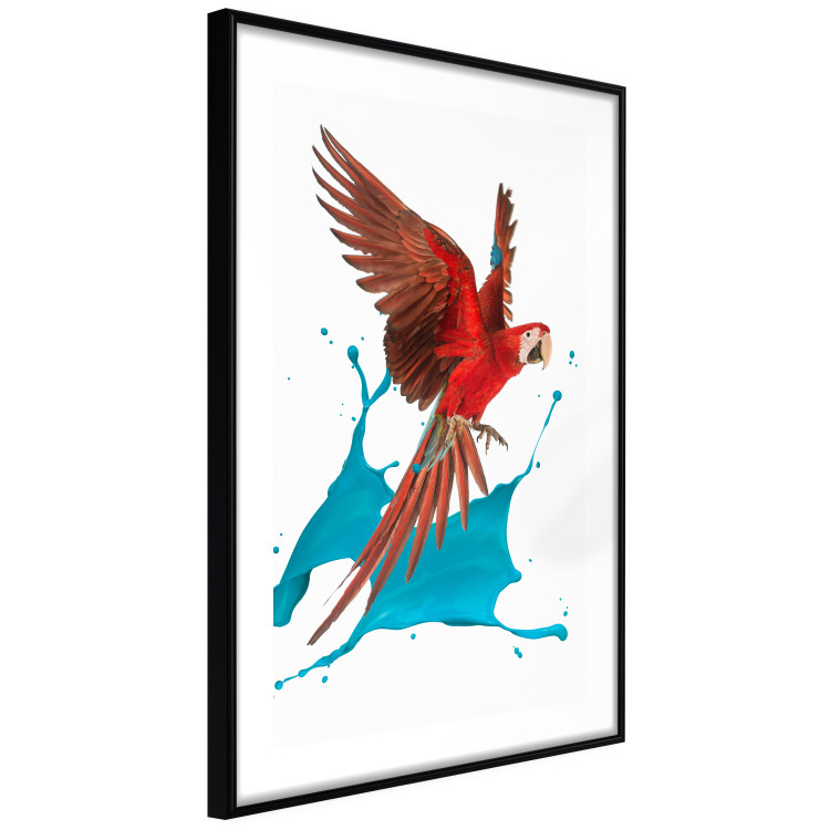 Wall Poster Parrot in Flight - colorful tropical bird and blue paint splatter 114443 additionalImage 6
