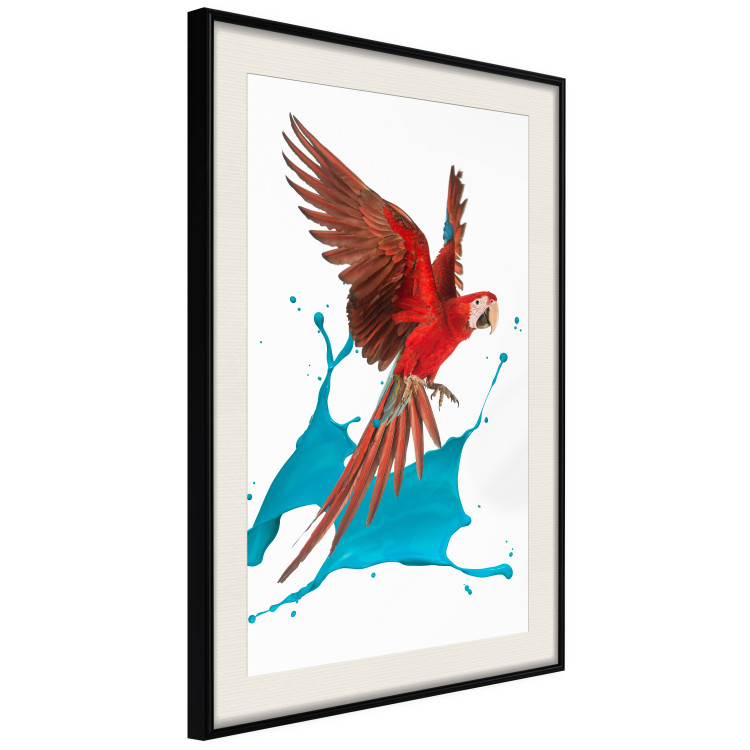 Wall Poster Parrot in Flight - colorful tropical bird and blue paint splatter 114443 additionalImage 5