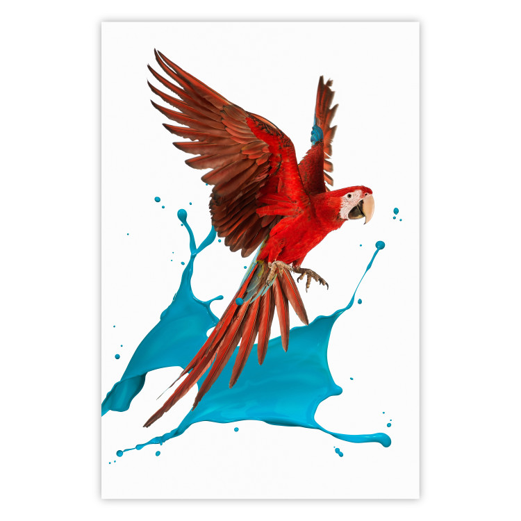 Wall Poster Parrot in Flight - colorful tropical bird and blue paint splatter 114443