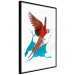 Wall Poster Parrot in Flight - colorful tropical bird and blue paint splatter 114443 additionalThumb 4