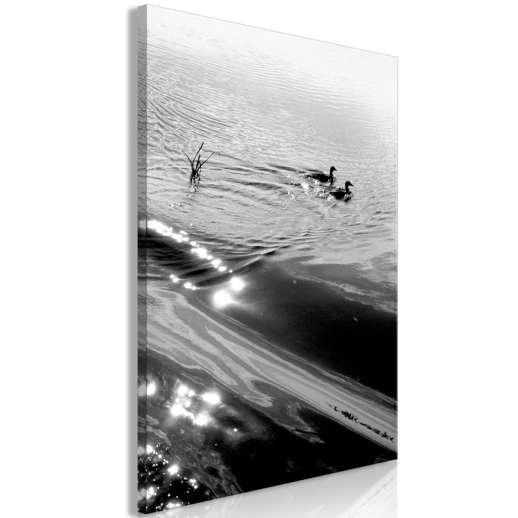 Canvas Duck's friendship - black and white photo of two birds in the water 115043 additionalImage 2