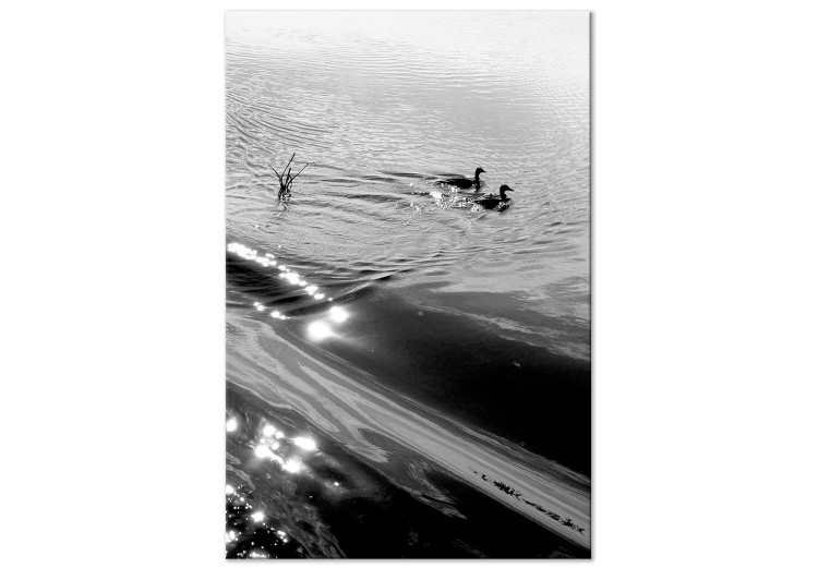 Canvas Duck's friendship - black and white photo of two birds in the water 115043