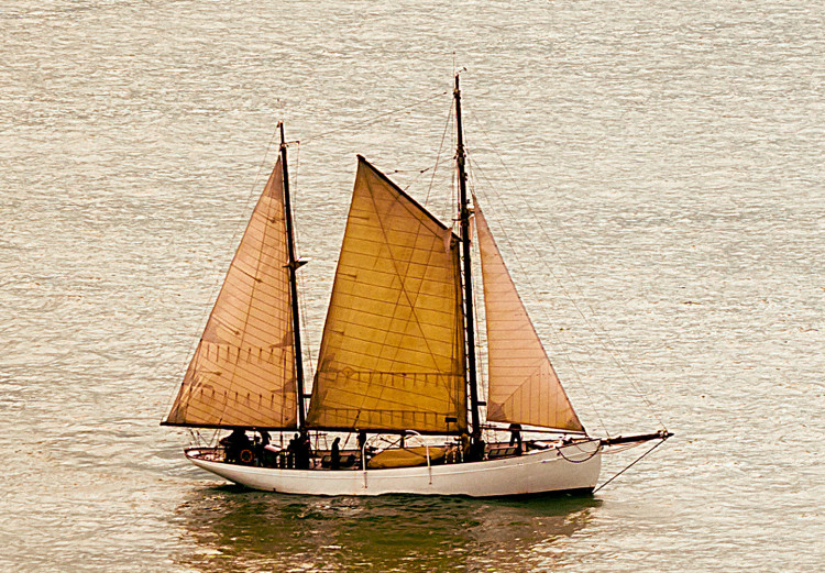 Wall Poster Sailboat - brown sails against a beige-green seascape 117343 additionalImage 11
