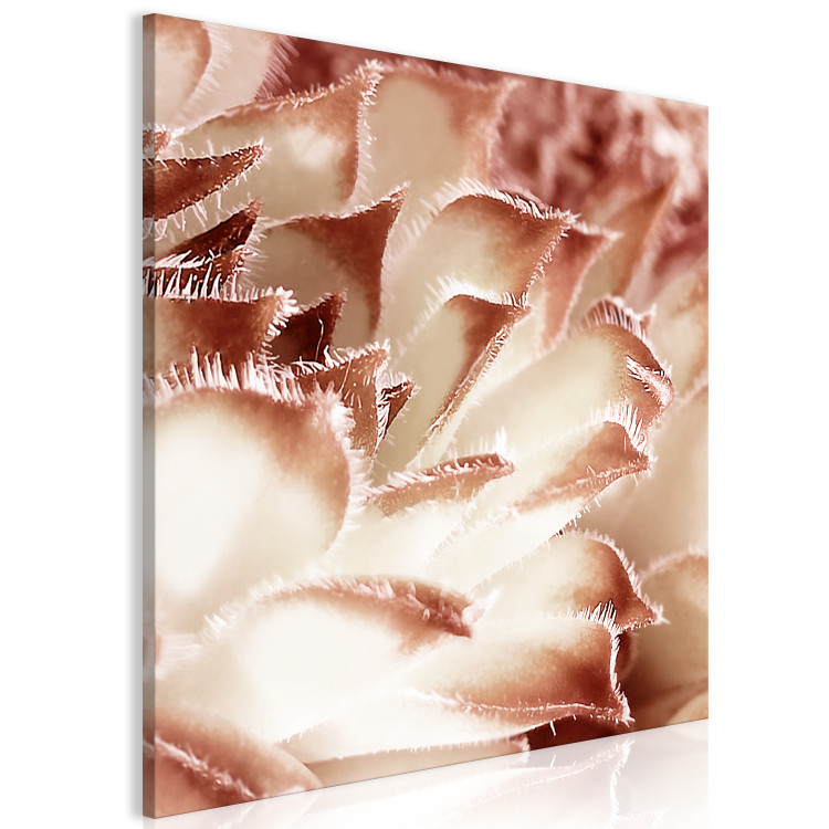 Canvas Print Flower tenderness - an artistic photo of a floral detail in pastels 122643 additionalImage 2