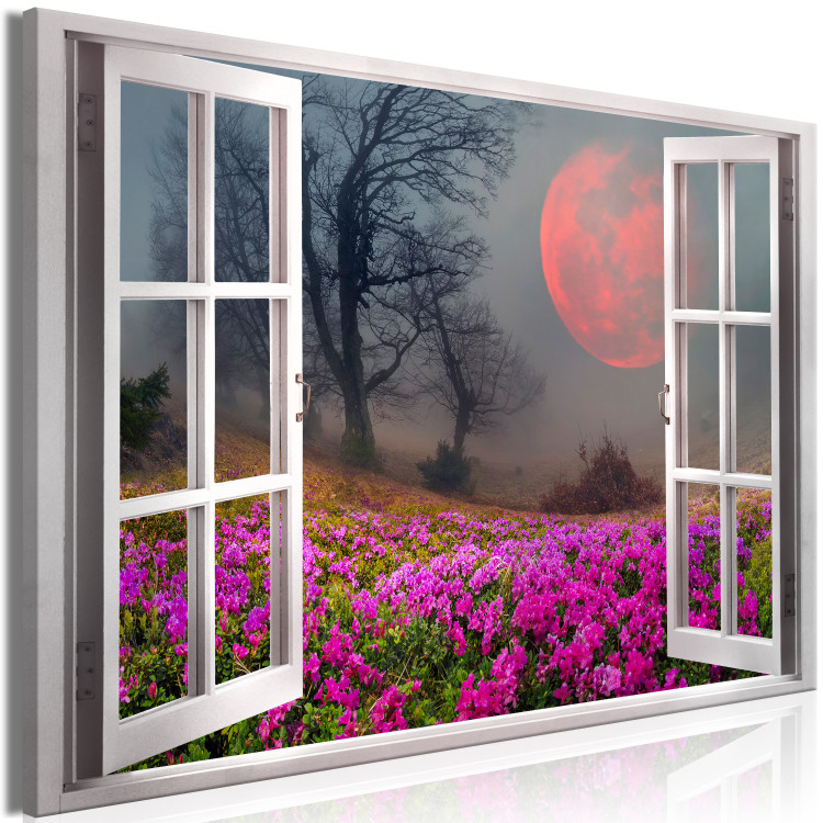Large canvas print Red Planet [Large Format] 125443 additionalImage 2