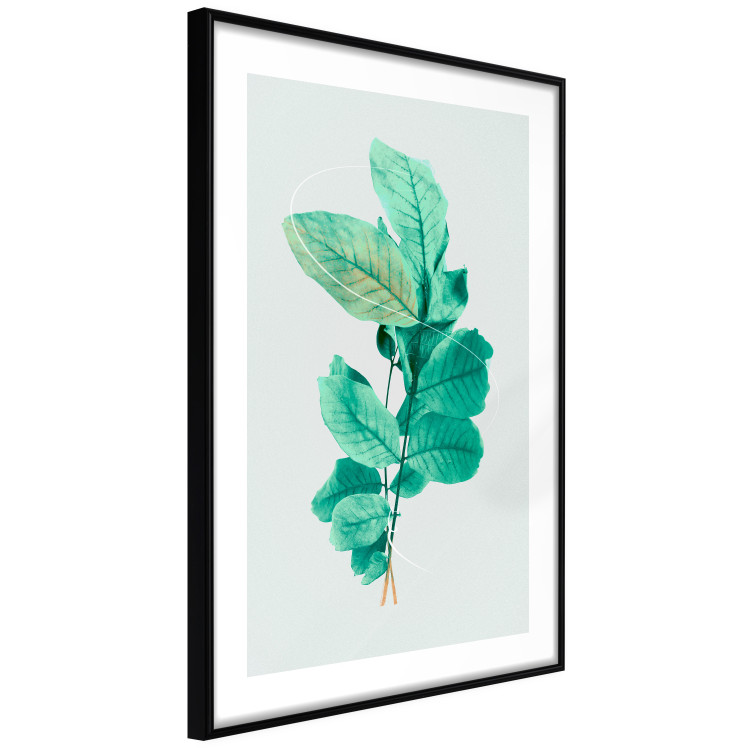 Wall Poster Mint Grace - plant composition with mint leaves on a light background 126543 additionalImage 6