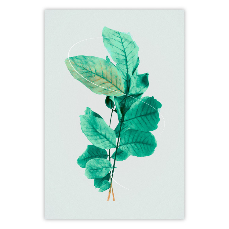 Wall Poster Mint Grace - plant composition with mint leaves on a light background 126543
