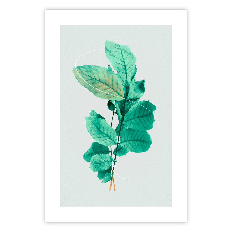 Wall Poster Mint Grace - plant composition with mint leaves on a light background 126543 additionalImage 19