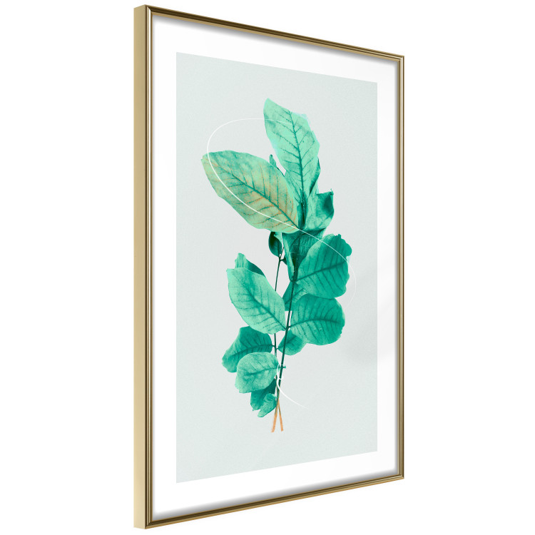 Wall Poster Mint Grace - plant composition with mint leaves on a light background 126543 additionalImage 7