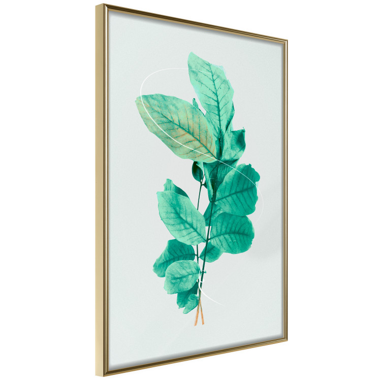 Wall Poster Mint Grace - plant composition with mint leaves on a light background 126543 additionalImage 12