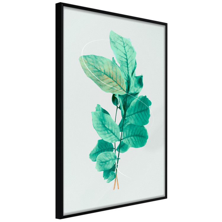 Wall Poster Mint Grace - plant composition with mint leaves on a light background 126543 additionalImage 11