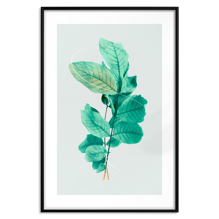 Wall Poster Mint Grace - plant composition with mint leaves on a light background 126543 additionalImage 15