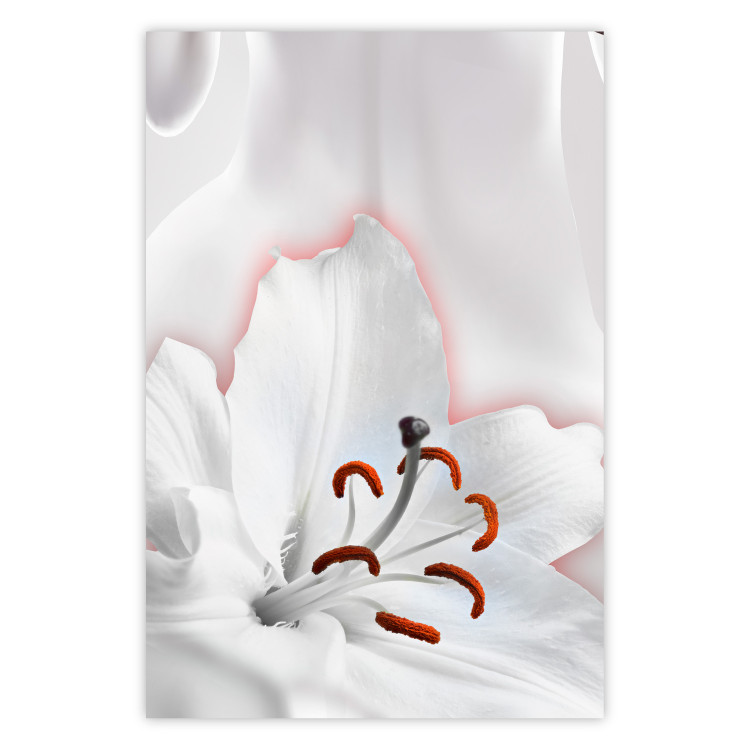 Poster I Am Woman - white lily flower with delicate red contrast 127243