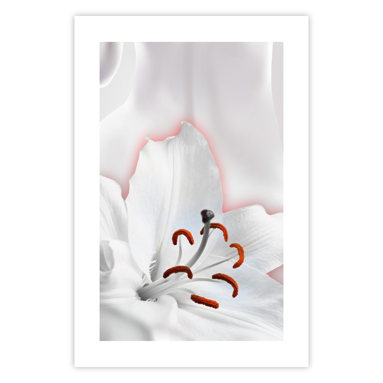 Poster I Am Woman - white lily flower with delicate red contrast 127243 additionalImage 25