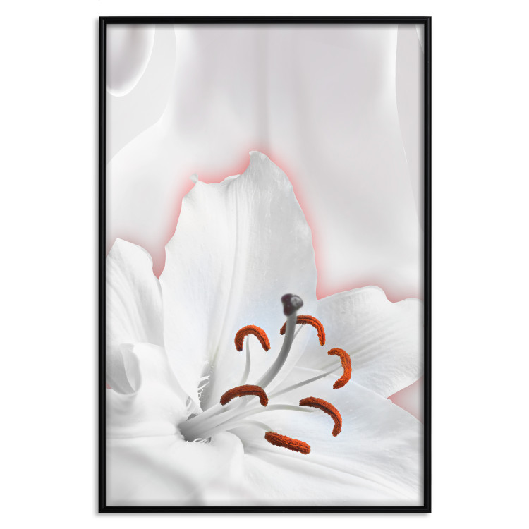 Poster I Am Woman - white lily flower with delicate red contrast 127243 additionalImage 16