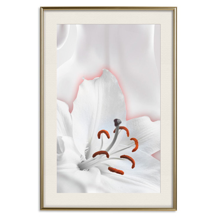 Poster I Am Woman - white lily flower with delicate red contrast 127243 additionalImage 20